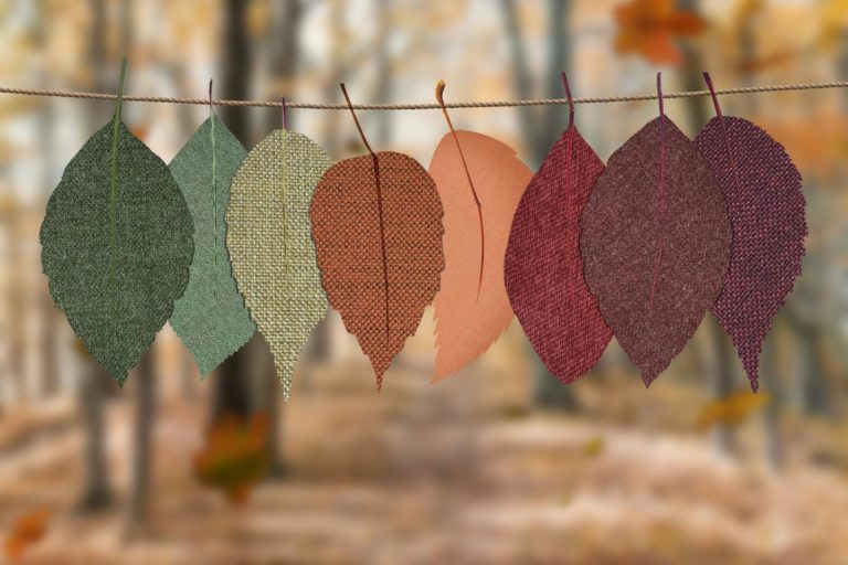 Celebrate Autumn: Fun Family Outings and Traditions